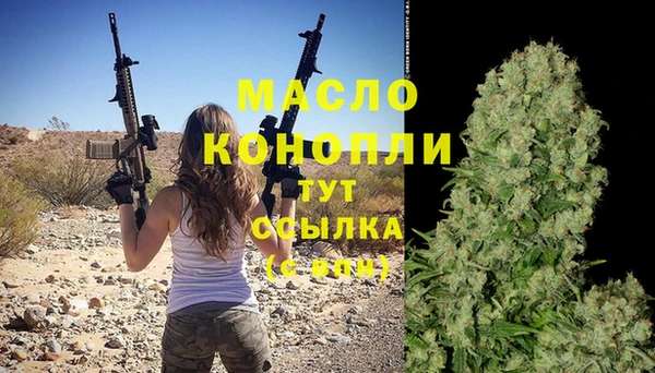 хмурый Гатчина